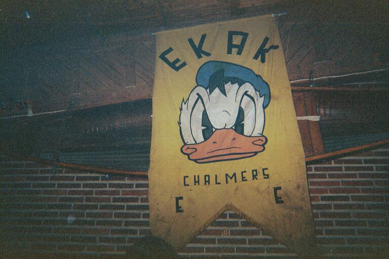 017.JPG